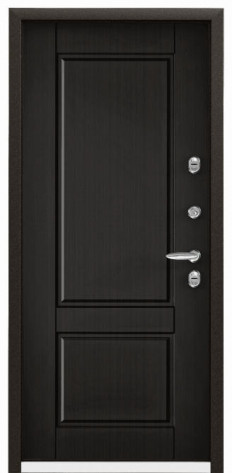Torex Входная дверь SNEGIR 55 MP S55-NC-1, арт. 0002888