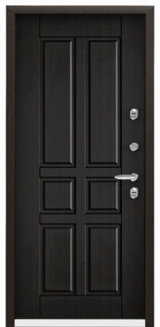 Torex Входная дверь SNEGIR 55 MP S55-NC-4, арт. 0002891